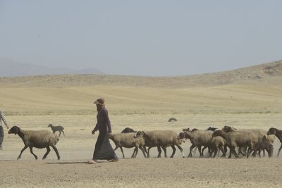 Nomadetelte mellem Tamar og Ashkhaneh, Iran 2022 (fotografi) af Unbekannter Künstler