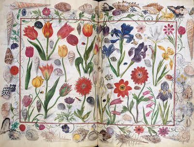 Sider fra albummet Amicorum af Philipp Hainhofer, 1596-1633 af Unbekannt