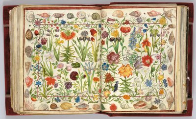 Sider fra albummet Amicorum af Philipp Hainhofer, 1596-1633 af Unbekannt