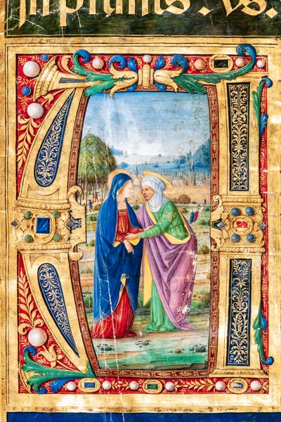 Piccolomini Bibliotek: Korbog, torsk. 14.P., ff. 2r med "The Visitation of Mary and St. Mary". Elizabeth, af Giovanni di Giuliano Boccardi, kendt som Boccardino den Ældre. Detalje. af Unbekannter Künstler