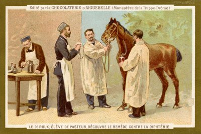 Pierre Paul Émile Roux af Unbekannter Künstler