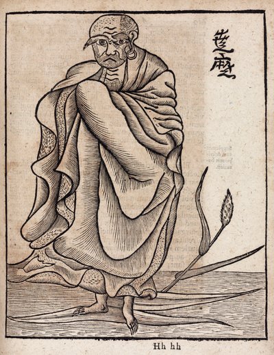 Portræt af Bodhidharma (ca af Unbekannt