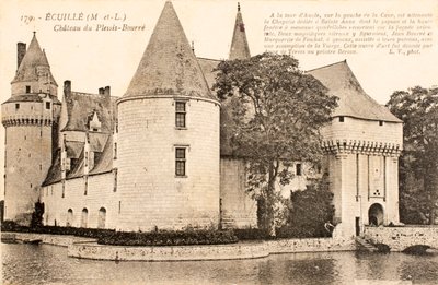 Postkort / Chateau de Plessis Bourre / Ecuille / Maine et Loire / Pays de Loire / Frankrig af William M. Timlin