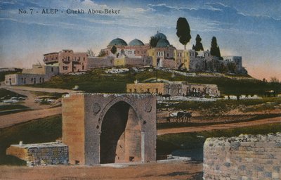 Postkort, der forestiller Shaykh Abu Bakr-moskeen i Aleppo, Syrien, ca. 1920 (fotolitho i farve) af Unbekannt