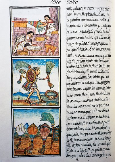 Behandling af fjer, tekst i Nahuati, fra faksimile af manuskript General History of Things of New Spain, også kendt som Florentine Codex, af Bernardino de Sahagun af William M. Timlin