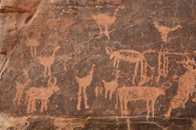Klippekunst, forhistorie: Detalje af en gravering af et sæt strudse og kvæg i Uweinat-massivet, Egypten (Periode fra 8000 til 3000 år f.Kr.). Fotografering af Unbekannt