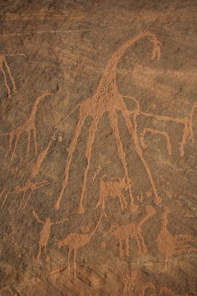 Felskunst, Vorgeschichte: Gravur von Giraffen, Straußen, Schafen und Figuren im Uweinat-Massiv, Sudan (Karkur-Talh oder Karkur Talh). Zeitraum von 8000 bis 3000 v. Chr. Fotografie von Unbekannt