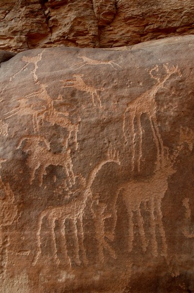 Klippekunst, forhistorie: Indgravering af giraffer, strudse, får, hund og karakter i Uweinat-massivet, Sudan (Karkur-Talh eller Karkur Talh). Periode fra 8000 til 3000 år f.Kr. Fotografering af Unbekannt