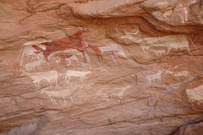 Klippekunst, forhistorie: Maleri af et sæt kvæg i et udsmykket husly i Uweinat-massivet, Sudan (Karkur-Talh eller Karkur Talh). Periode fra 8000 til 3000 år f.Kr. Fotografering af Unbekannt