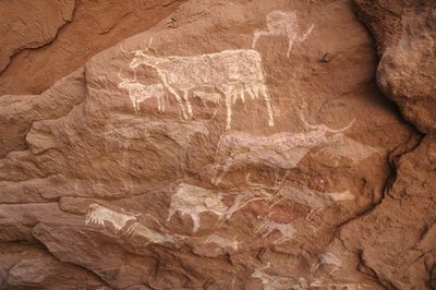 Klippekunst, forhistorie: Klippemaleri af en gruppe kvæg i et udsmykket husly i Uweinat-massivet, Sudan (Karkur-Talh eller Karkur Talh). Periode fra 8000 til 3000 år f.Kr. Fotografering af Unbekannt