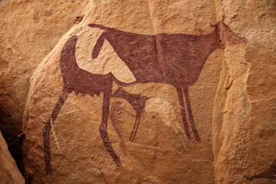 Klippekunst, forhistorie: Klippemaleri af en stor tofarvet ko og dens kalv i et udsmykket husly i Uweinat-massivet, Sudan. Periode fra 8000 til 3000 år f.Kr. Fotografering af Unbekannt