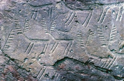Helleristninger i Massi di Cemmo National Archaeological Park, Val Camonica (Unescos verdensarvsliste af William M. Timlin