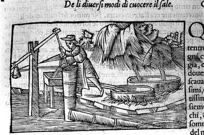 Saltproduktion: madlavning. Gravering af Olaus Magnus (1490 - 1557), svensk religiøs og geograf, "Historia de Gentis Septentrionalibus", Venedig af Unbekannt