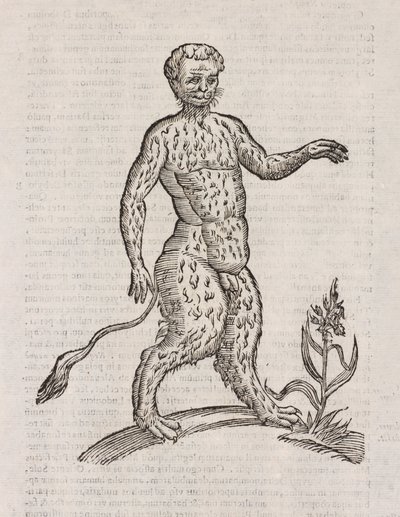 Satyrer en anden art af Unbekannt