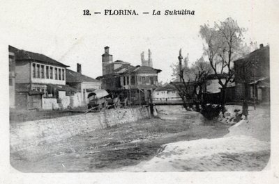 Serbien, Florina (nuværende Grækenland): udsigt over Sukulina - Postkort 1914-1918 af William M. Timlin