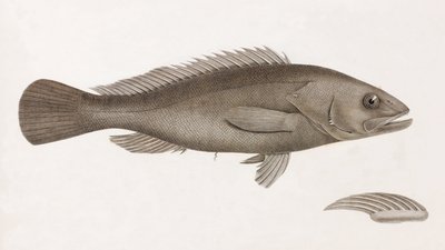 Serran Airain, tæt på af Unbekannt