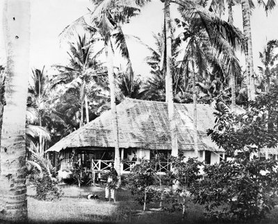 Singapore: En privat bungalow omgivet af palmer. Singapore, c1875 af Unbekannt
