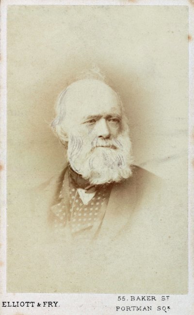 Sir Charles Lyell, engelsk geolog, c1865-1875 af Unbekannt