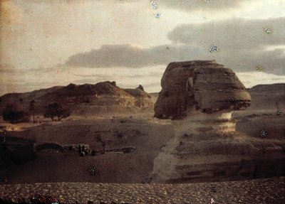 Sphinx af Unbekannter Künstler