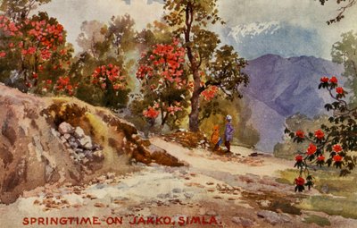 Forår på Jahko, Simla, Indien af Unbekannter Künstler