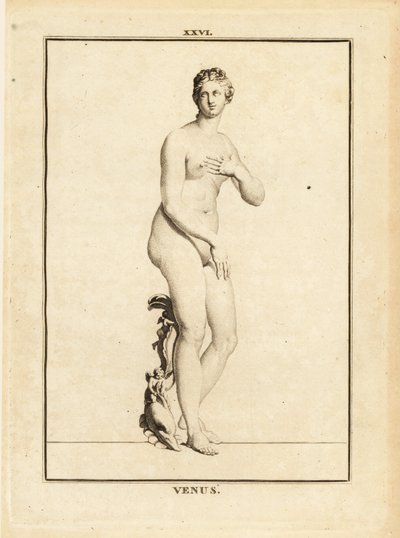 Statue af Venus, romersk gudinde for kærlighed, skønhed, sex og frugtbarhed af Unbekannt