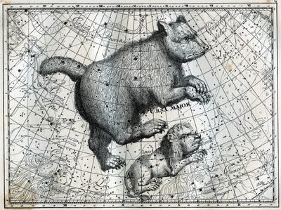 De boreale konstellationer: den store bjørn og den lille løve. Indgravering fra Camille Flammarions "The Stars and Other Curiosities of the Sky" af Unbekannt