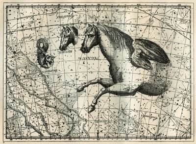 Stjernebilledet Pegase, tegner som den forreste halvdel af en hest med et par vinger, den lille hest, et hestehoved og delfinen. Gravering fra "Les étoiles et les autres curiosites du ciel" af Camille Flammarion af Unbekannt