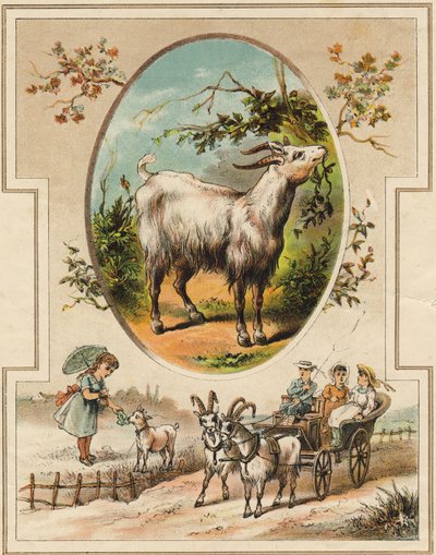 Geden. Indgravering i "Mon premier Grand Alphabet". Bernardin-Bechet Edition, Paris, ca. 1890. Illustrationer af A. des Lilleuls. Ingen side, 46 sider. Mål: 31x22 cm. af Unbekannt