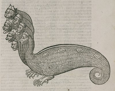 Hydraen af Unbekannt