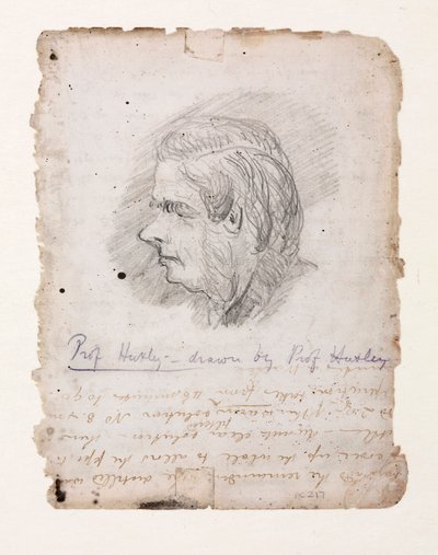 Thomas Henry Huxley, engelsk biolog, midten af slutningen af det 19. århundrede af Unbekannt