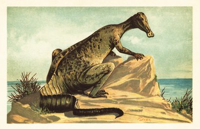 Trachodon mirabilis, uddød hadrosaurad dinosaur.1908 (litografi) af Unbekannter Künstler