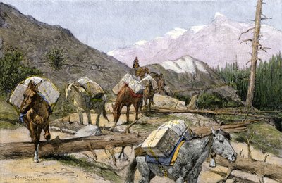Transport af forsyninger og pelse på hesteryg i Rocky Mountains, USA. Fra en illustration af Frederic Remington. Pakketog med forsyninger eller pelse over Rocky Mountains. af Unbekannter Künstler