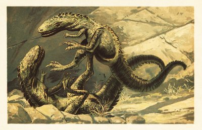 To kæmpende Dryptosaurus aquilunguis.1908 (litografi) af Unbekannter Künstler