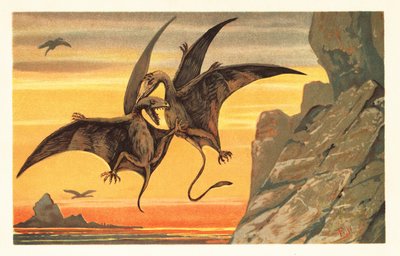 To pterodactyler kæmper midt på flyvningen mod en rød himmel.1908 (litografi) af Unbekannter Künstler