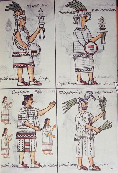 Tzapotlatena, Chalchiuhtlatonal, Cioapipitli og Tliltecuhtli, Florentine Codex, Tosproget version på spansk og Nahuatl, Generel historie om tingene i det nye Spanien, Aztec af William M. Timlin