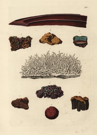 Varianter af jernmalm. Håndkoloreret kobberstik af efter en illustration af fra Georg Wolfgang Knorr