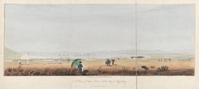 Udsigt over Cape Town, Table Bay og Tygerberg Hills (Sydafrika). Litografi (26,5x53,5 cm) af J.W. Burchell af Unbekannter Künstler
