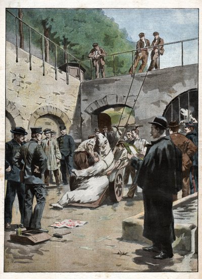 Zoo du Jardin des Plantes. Zoo i Jardin des Plantes. af Nicolas Liez