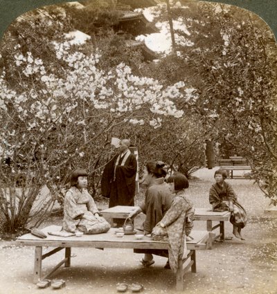 En familie, der nyder en picnic under kirsebærblomsterne, Omuro Gosho, Kyoto, Japan, 1904. af Underwood and Underwood
