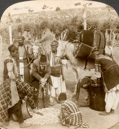 Eksperter køber silkekokoner til eksport til Frankrig, Antiochia, Syrien, 1900-tallet. af Underwood and Underwood