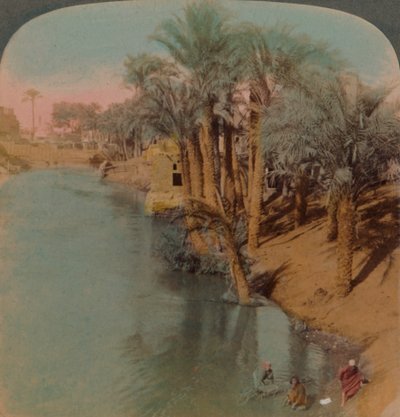 I Fayum, den rigeste oase i Egypten ved Bahr Yussef-floden Joseph, til Nilen, 1902. Kunstnere: Elmer Underwood, Bert Elias Underwood. af Underwood and Underwood