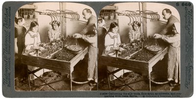Fremstilling af silke, Syrien, 1900-tallet. af Underwood and Underwood