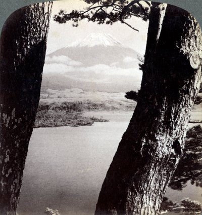 Mount Fuji, set fra nordvest, gennem fyrretræer ved Lake Motosu, Japan, 1904 af Underwood and Underwood