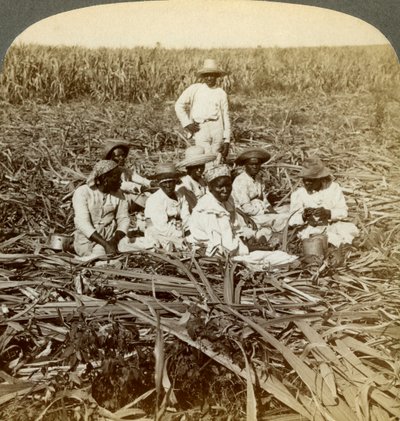 På La Union sukkerplantage, San Luis, Santiago-provinsen, Cuba, 1899. af Underwood and Underwood