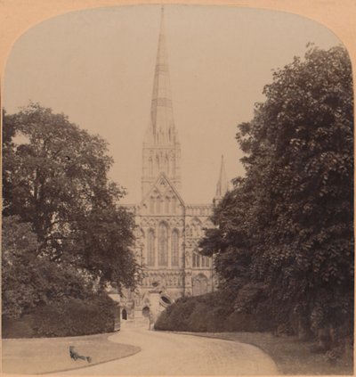 Salisbury Cathedral nordvest foran England, første store kirke i den tidlige engelske stil, 1900 af Underwood and Underwood