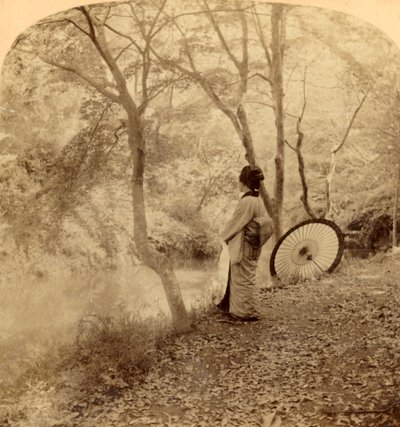 Efterårets gyldne dage i Japan, 1896. af Underwood and Underwood