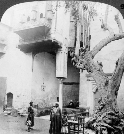 Haremsvinduerne i retten til et velhavende hus i Cairenes, Cairo, Egypten, 1905. af Underwood and Underwood