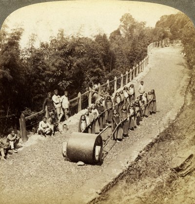 Kvinder, der arbejder på Darjeeling Highway, Indien. af Underwood and Underwood
