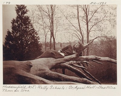 [Beatrice Thom på træ, Haddonfield, New Jersey]. af Unidentified