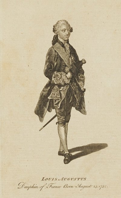 Louis Augustus, Dauphin de France af Unidentified